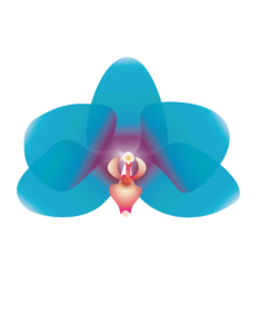 Imagen digital de una orquídea azul con centro rosado, blanco y amarillo