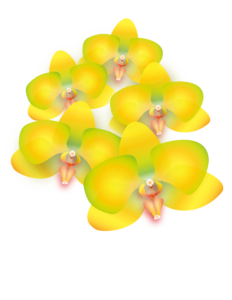 Imagen digital de un conjunto de orquídeas doradas