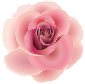 Imagen digital de una rosa rosa
