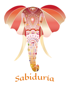 Ilustración digital de una cabeza de elefante decorada con figuras geométricas en tonos coral