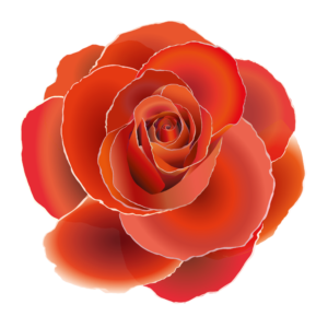 Imagen digital de una rosa roja